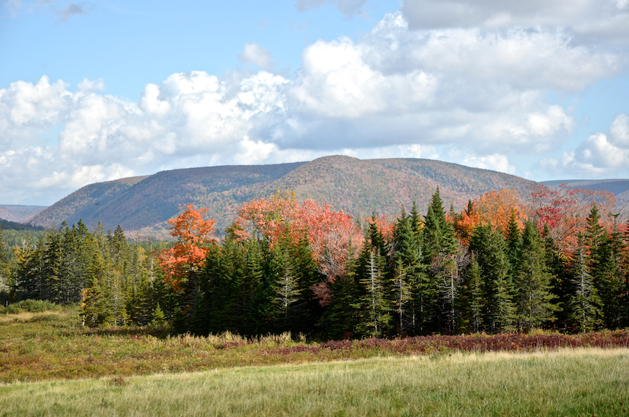 Sugarloaf Mountain from Marsh Brook