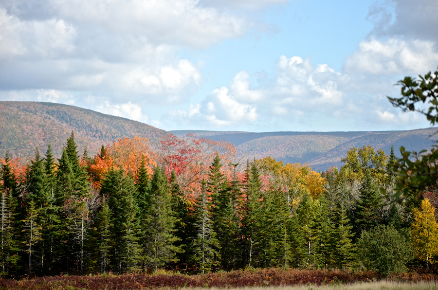 Sugarloaf Mountain and Frasers Mountain from Marsh Brook