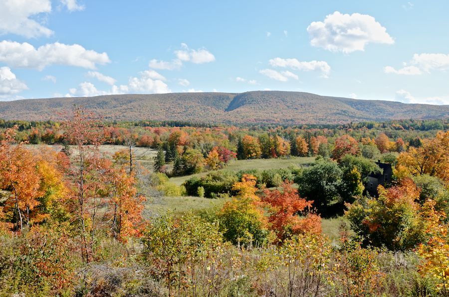 Frasers Mountain from the West Big Intervale Road