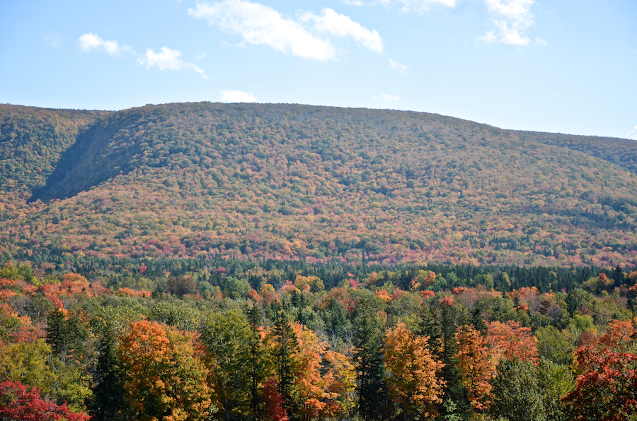 The southwest end of Frasers Mountain
