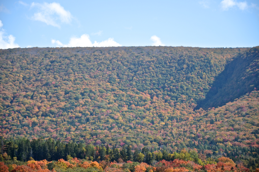 Frasers Mountain