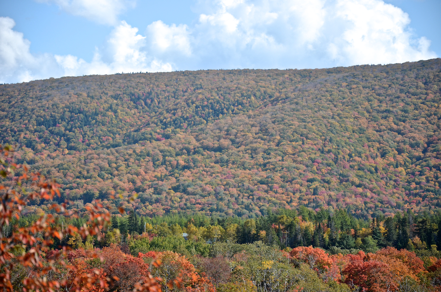 Frasers Mountain