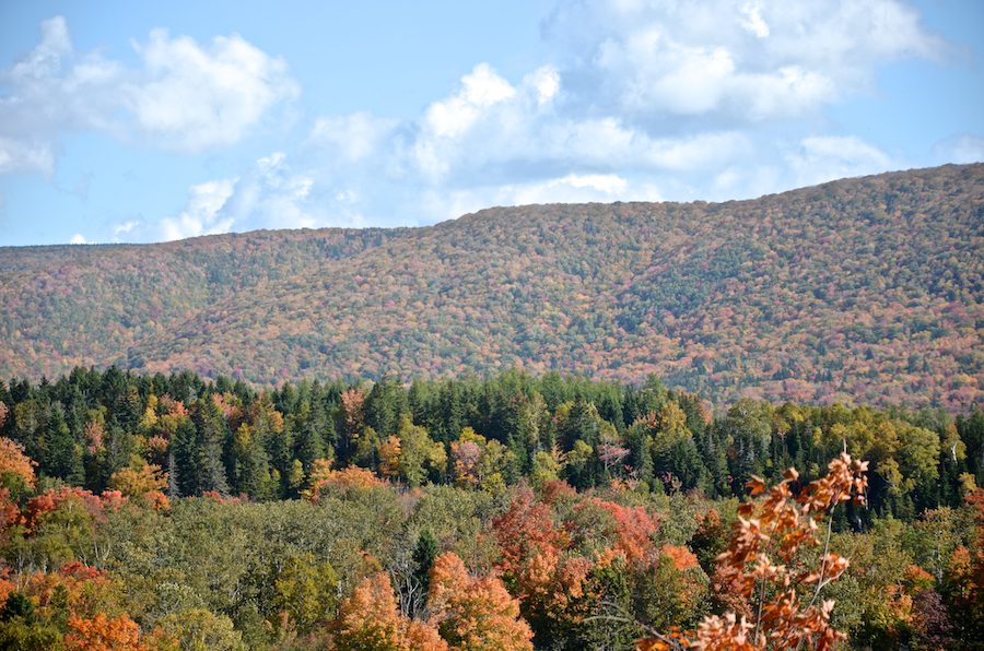 Frasers Mountain