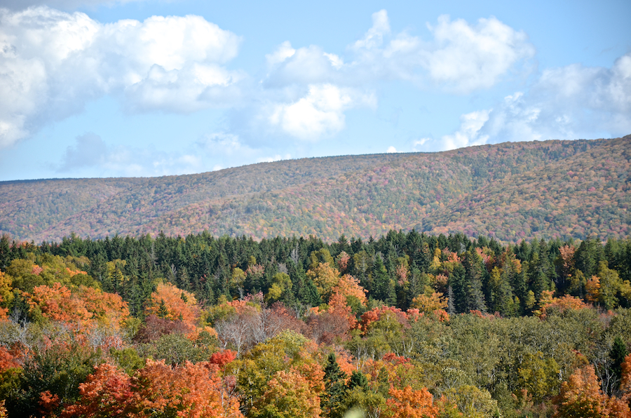 Frasers Mountain