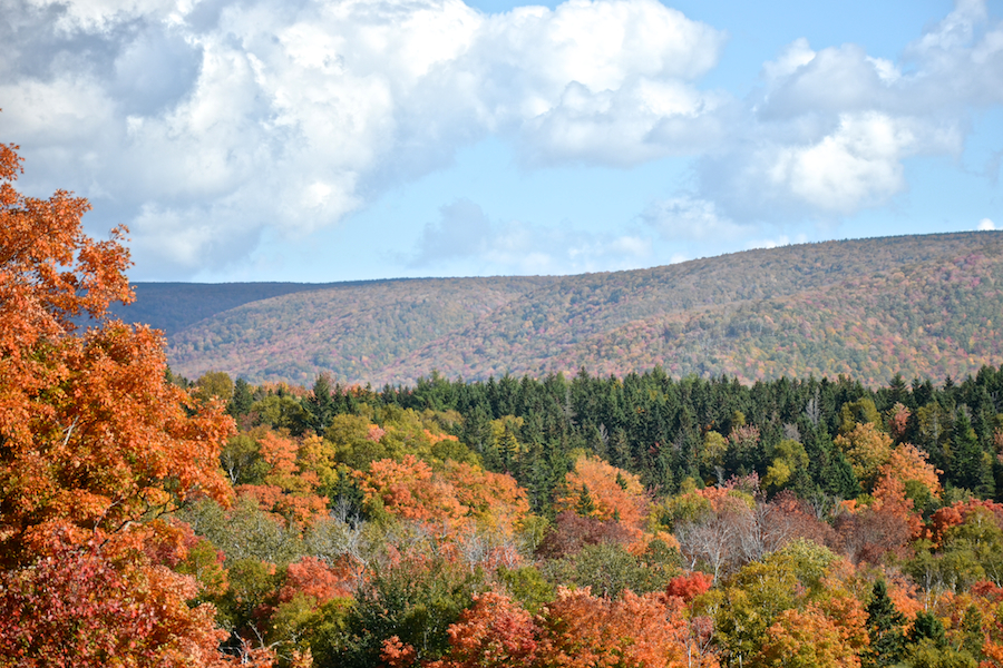 The northern end of Frasers Mountain