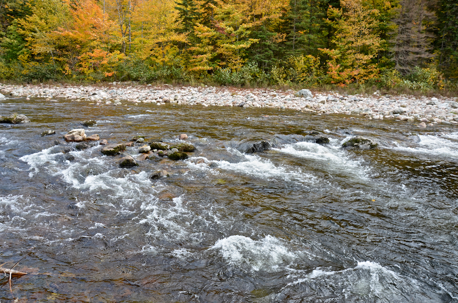 The Northeast Margaree River north of Wards Pool