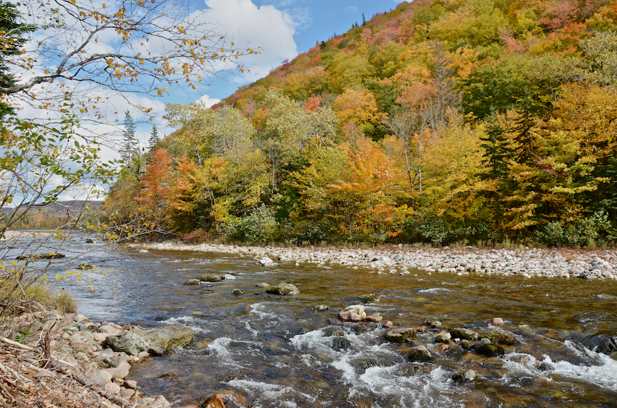 The Northeast Margaree River flows around Sugarloaf Mountain