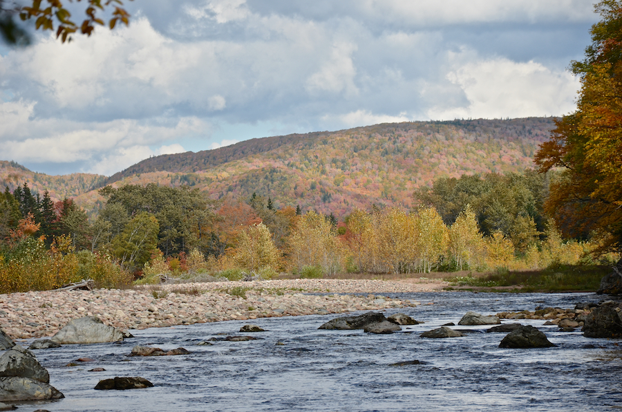 Looking upstream at the Northeast Margaree River from north of Wards Pool