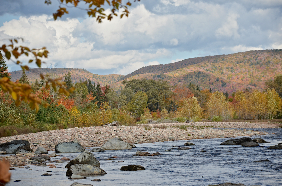 Looking upstream at the Northeast Margaree River from north of Wards Pool