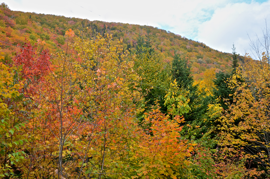The Highlands west of the West Big Intervale Road