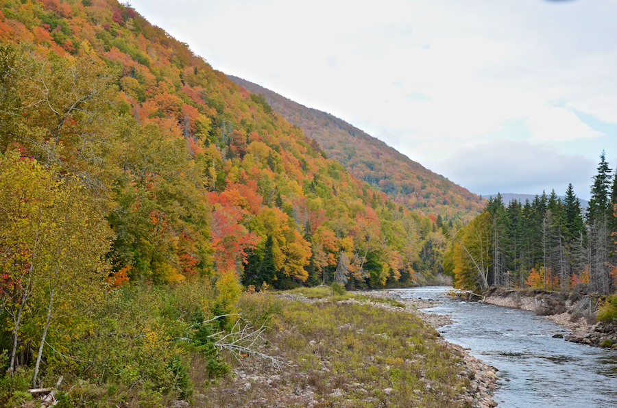 Looking upstream at the Northeast Margaree River from the bridge in Big Intervale