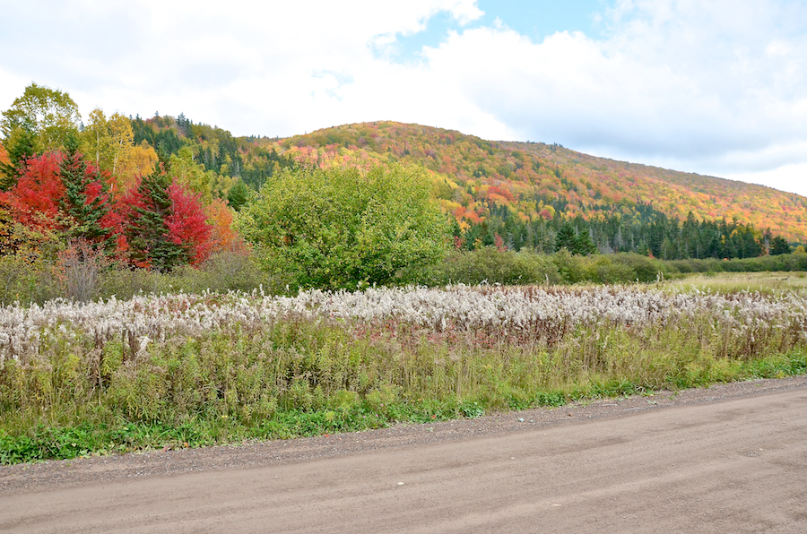 John Peters Mountain from the East Big Intervale Road south of Kingross