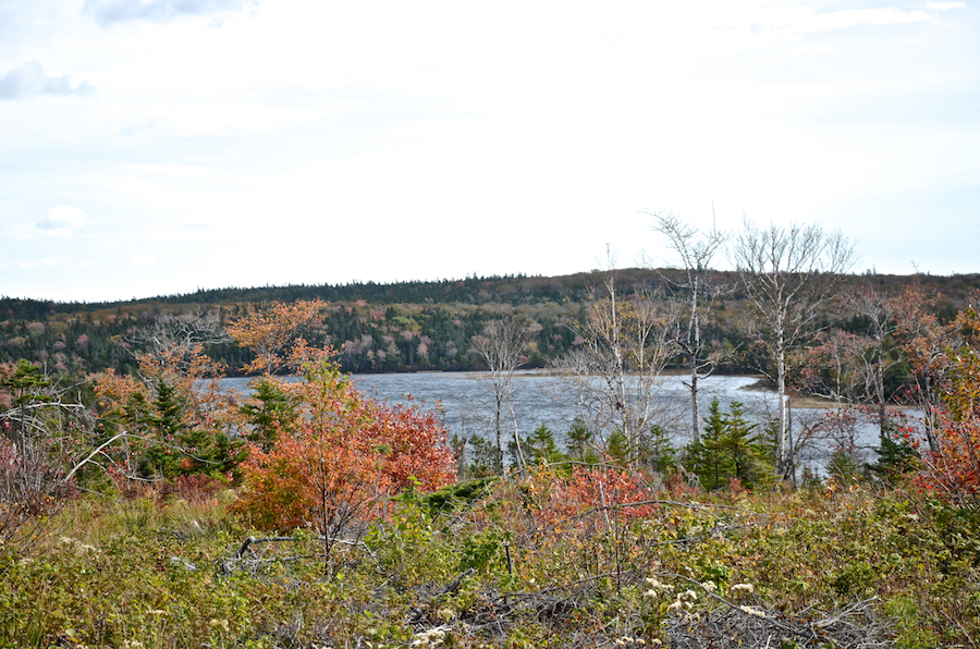 Cook Lake from the Oban Road