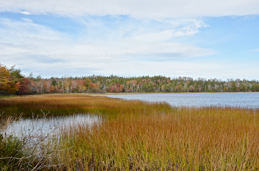Cook Lake from near the middle of its southwestern side