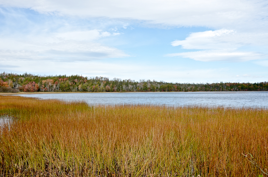 Cook Lake from near the middle of its southwestern side