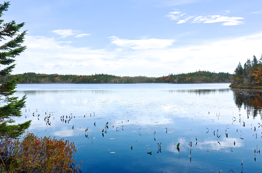 Garrets Lake from the Salmon River Road