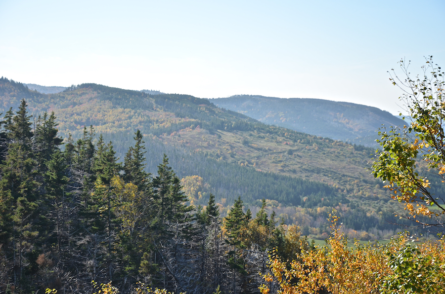 The southern Cape Mabou HIghlands