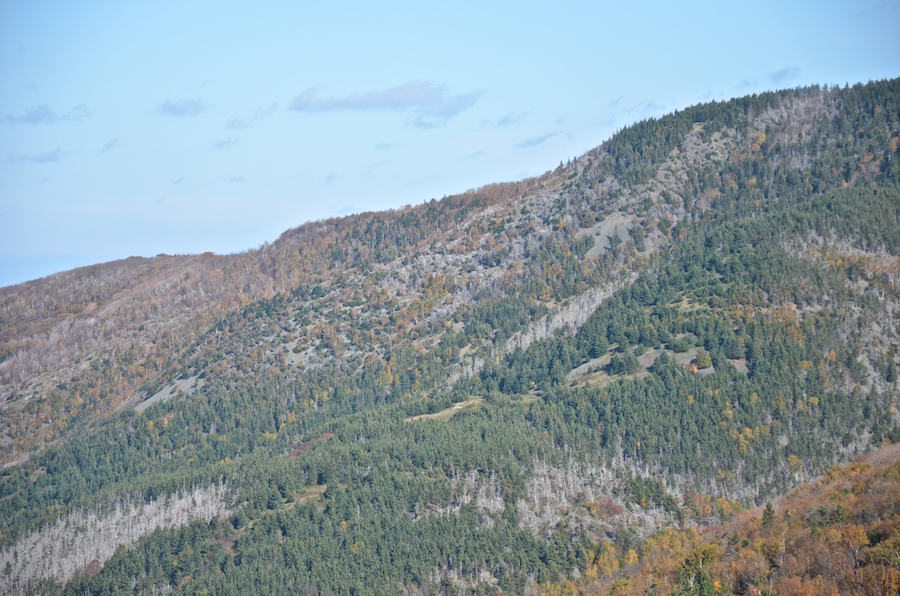 The western flank of Beinn Bhiorach (Steep Mountain)