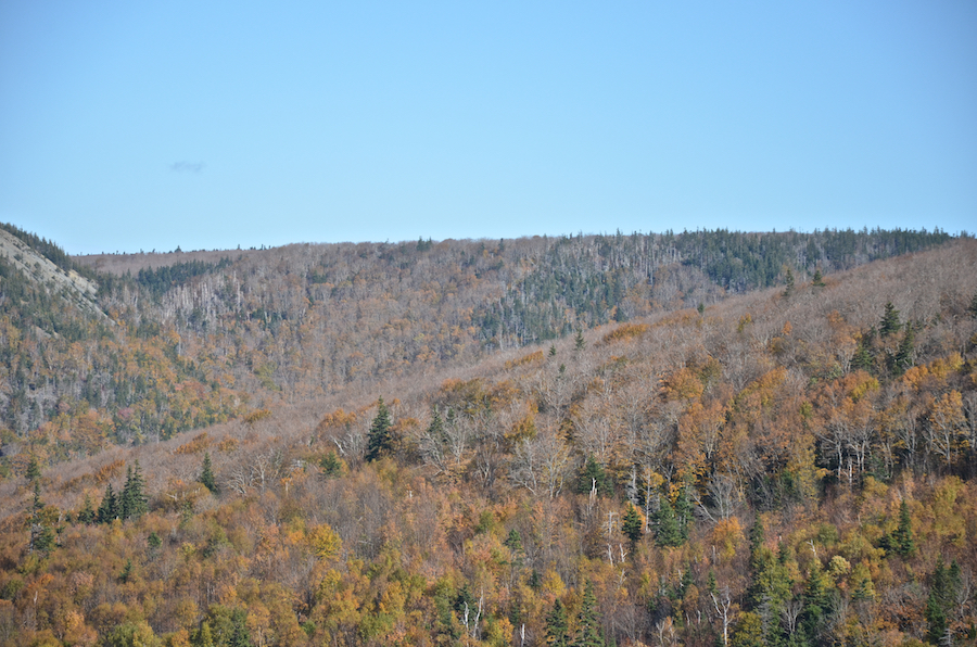 The Cape Mabou Plateau east of the Beinn Bhiorach (Steep Mountain) summit