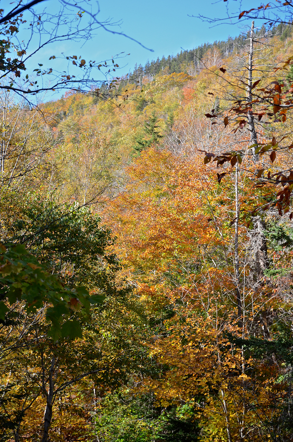 Looking up at the south side of Cross Mountain from the Cul Na Beinne (Beyond the Mountains) Trail