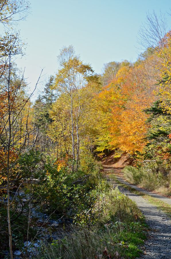 Colours along the Cul Na Beinne (Beyond the Mountains) Trail