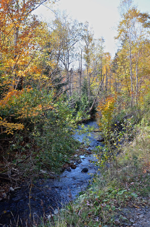Mill Brook along the Cul Na Beinne (Beyond the Mountains) Trail