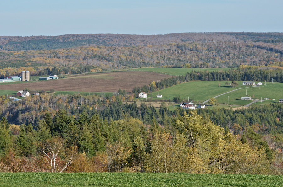 Mabou Ridge and Alpine Ridge from Hunters Road