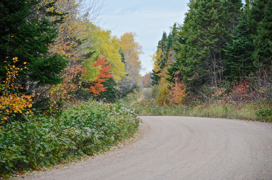 Colours along the Dunmore Road