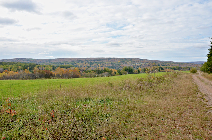 Southwest Ridge (Mabou Ridge) from the Rosedale Road