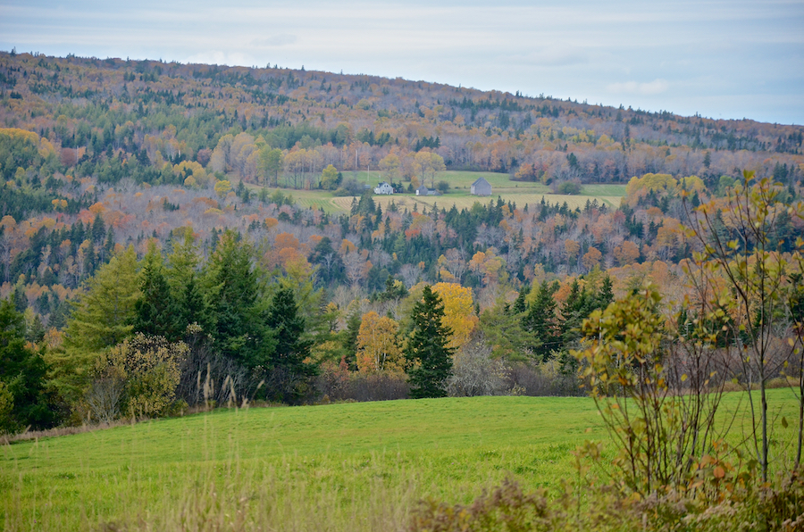 Farm on the side of Southwest Ridge above the Mull River valley