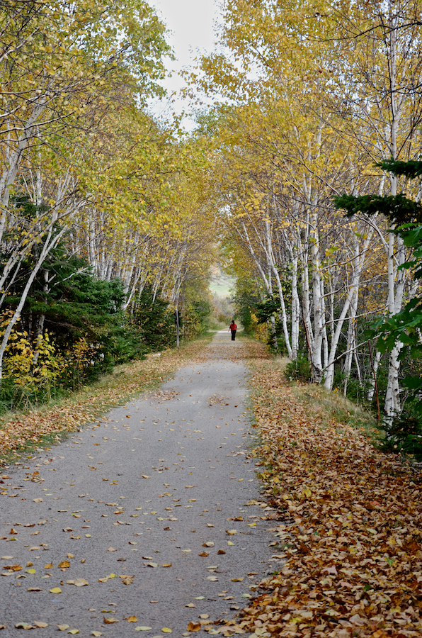 The Cèilidh Coastal Trail