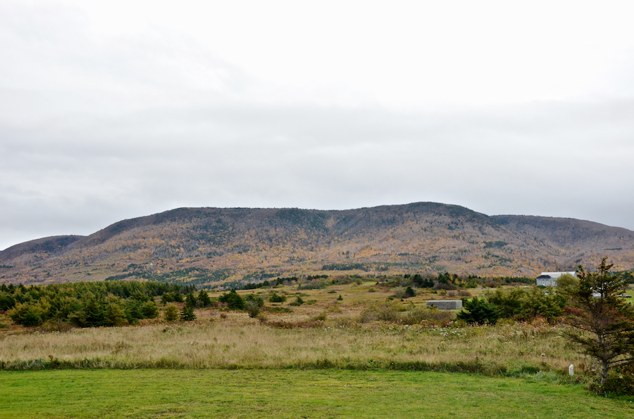 Squirrel Mountain from the Cabot Trail in Grand-Étang