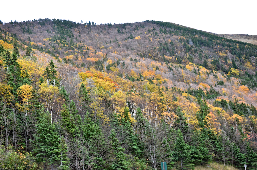 Colours on the slopes of French Mountain