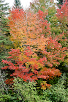 ../essays/32/thumbnails/2014.10.05_dsc_3593.jpg