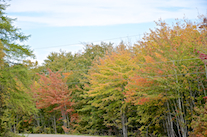 ../essays/32/thumbnails/2014.10.05_dsc_3602.jpg