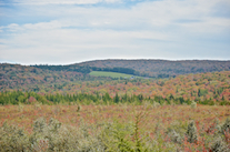 ../essays/32/thumbnails/2014.10.05_dsc_3624.jpg