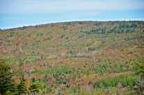 ../essays/32/thumbnails/2014.10.05_dsc_3633.jpg