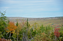 ../essays/32/thumbnails/2014.10.05_dsc_3636.jpg