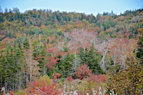 ../essays/32/thumbnails/2014.10.05_dsc_3639.jpg