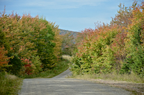 Early colours along the East Skye Glen Road