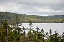 ../essays/32/thumbnails/2014.10.06_dsc_3668.jpg