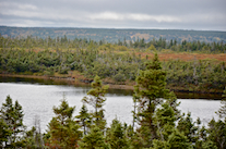../essays/32/thumbnails/2014.10.06_dsc_3672.jpg