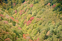 ../essays/32/thumbnails/2014.10.06_dsc_3675.jpg
