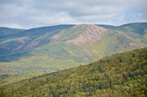 ../essays/32/thumbnails/2014.10.06_dsc_3681.jpg