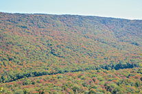 The North Aspy River Valley below the second highest look-off on North Mountain