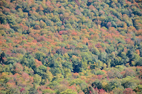 ../essays/32/thumbnails/2014.10.06_dsc_3696.jpg