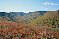 The Meat Cove Brook Valley from the col on Meat Cove Mountain