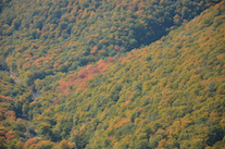 ../essays/32/thumbnails/2014.10.07_dsc_3773.jpg