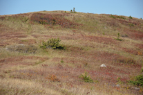 The North Summit of Meat Cove Mountain
