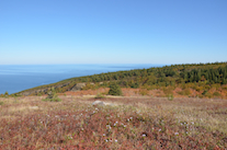 The unnamed brook valley seen from the north summit of Meat Cove Mountain